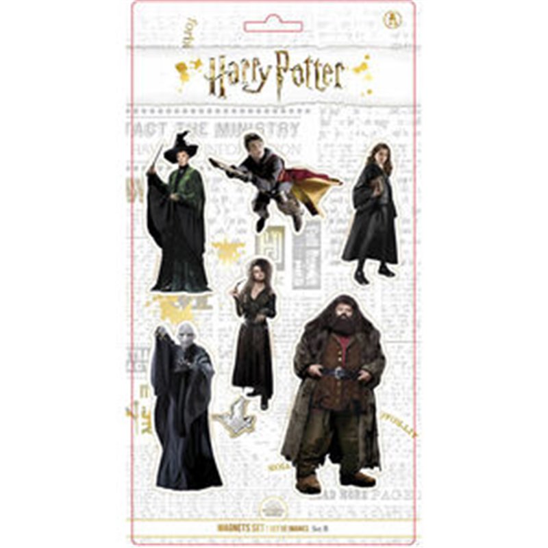 BLISTER 6 IMANES PERSONAJES HARRY POTTER