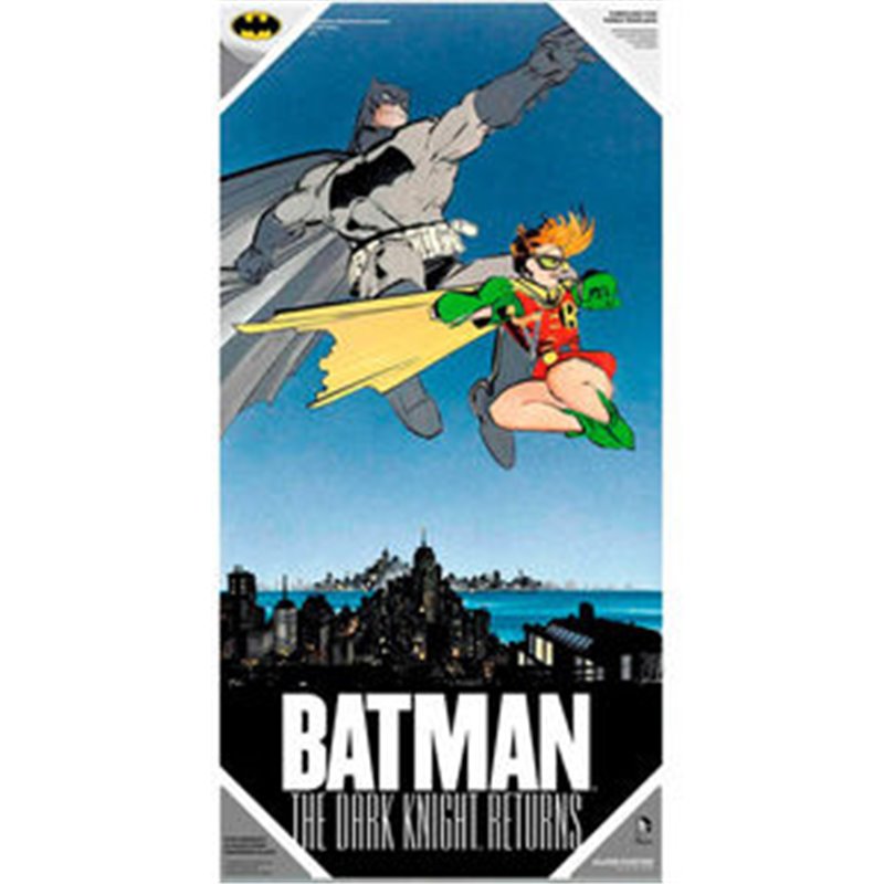 POSTER CRISTAL BATMAN Y ROBIN DC COMICS