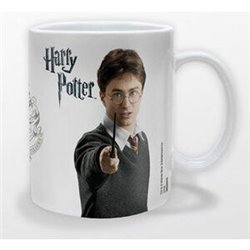 TAZA HARRY POTTER