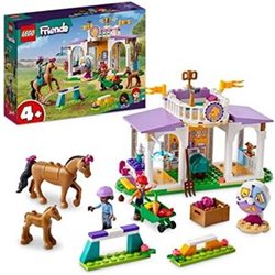 CLASE DE EQUITACION LEGO FRIENDS