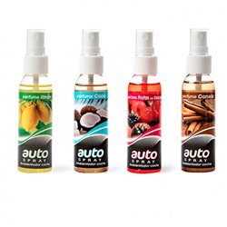 AUTO SPRAY ESPECIAL COCHE 120 ML