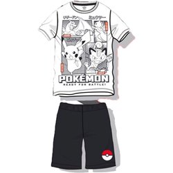 Conjunto Pokemon