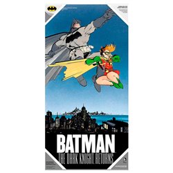 Poster cristal Batman y Robin DC Comics