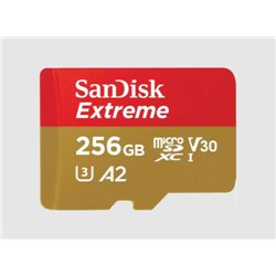 SanDisk Extreme 256 GB MicroSDXC UHS-I Clase 3