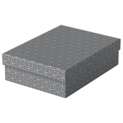 PACK 3 CAJAS GRISES 360X265X100MM ESSELTE 628285