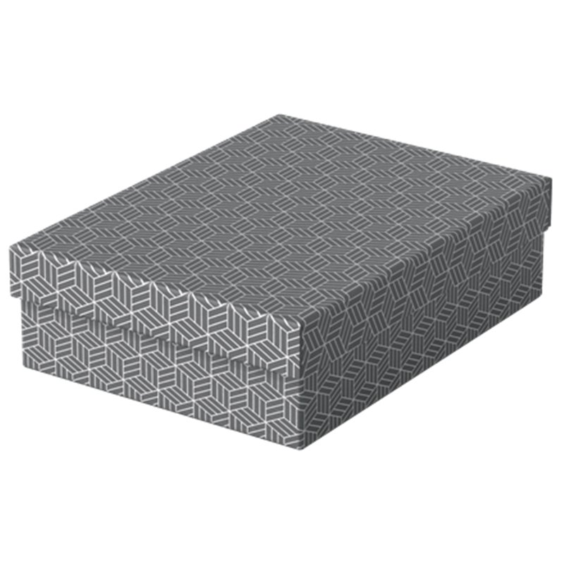 PACK 3 CAJAS GRISES 360X265X100MM ESSELTE 628285