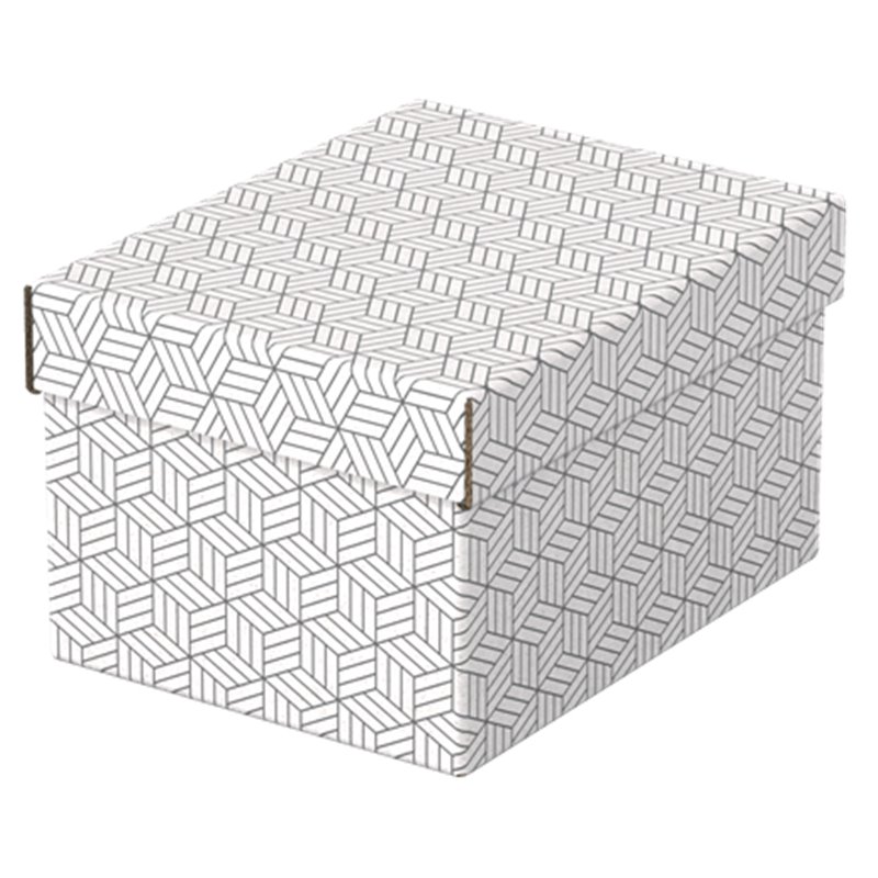 PACK 3 CAJAS BLANCAS 255X200X150MM ESSELTE 628280