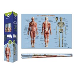 Bismark Poster Cuerpo Humano 70 x 100 cm