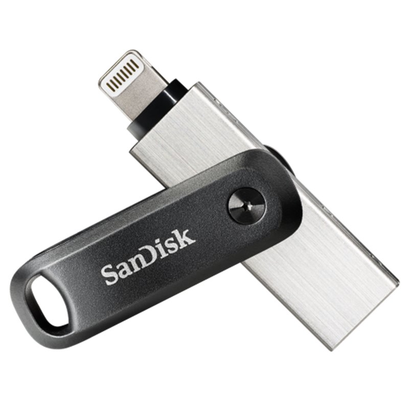 SanDisk SDIX60N-256G-GN6NE unidad flash USB 256 GB 3.2 Gen 1 (3.1 Gen 1) Gris, Plata