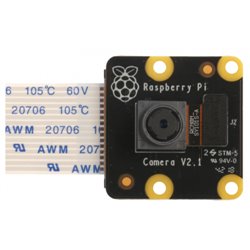 Raspberry Pi PiNoir Camera Module V2.1 Cámara Multicolor