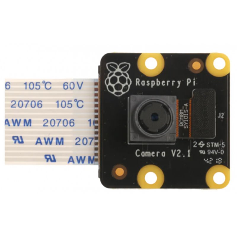 Raspberry Pi PiNoir Camera Module V2.1 Cámara Multicolor