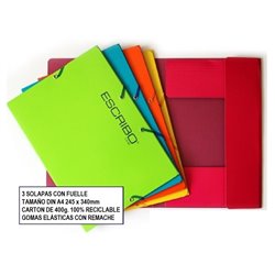 CARPETA GOMAS CARTON COLORES