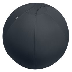 Leitz Active Sitzball 55cm Gris Interior Esférico