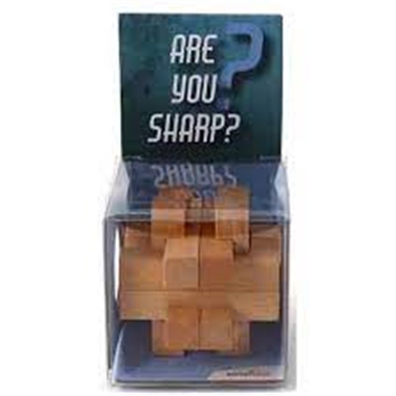 PUZZLES INGENIO ARE YOU SHARP