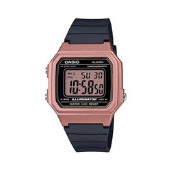 RELOJ CASIO W-217HM-5AVEF