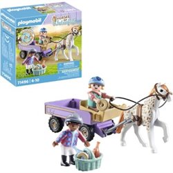 CARRUAJE CON PONI PLAYMOBIL