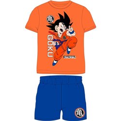 Conjunto Dragon Ball