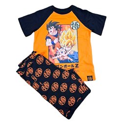 Conjunto Dragon Ball