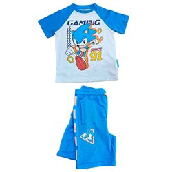 Conjunto Sonic the Hedgehog