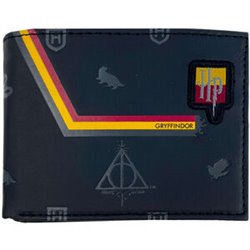 CARTERA HARRY POTTER