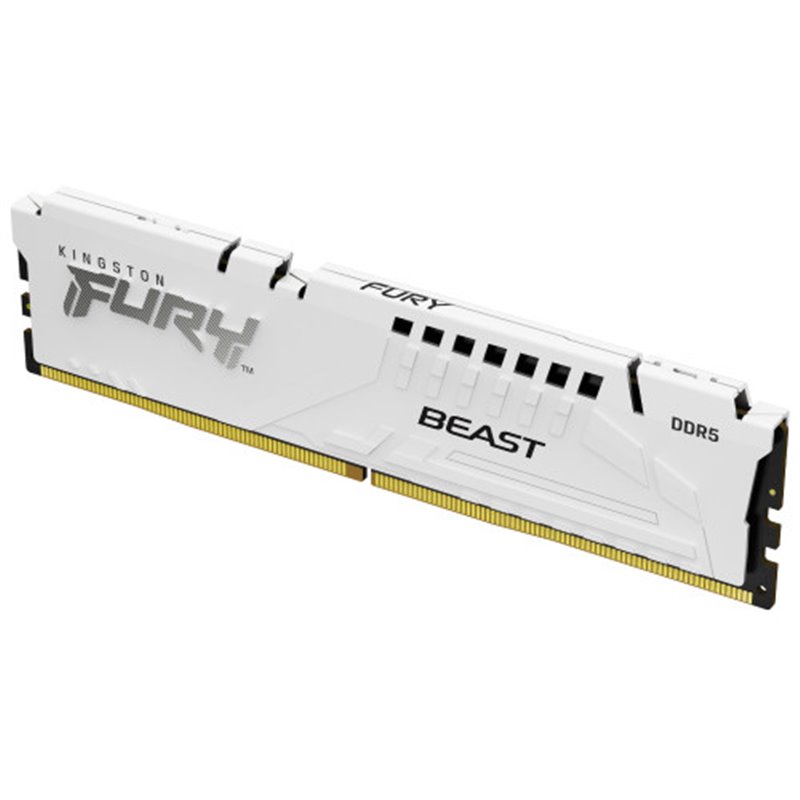 Kingston Technology FURY Beast módulo de memoria 16 GB 1 x 16 GB DDR5