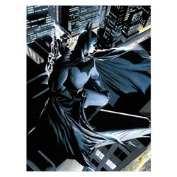 Poster cristal Batman DC Comics