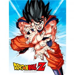 Poster cristal Goku Kame Dragon Ball Z