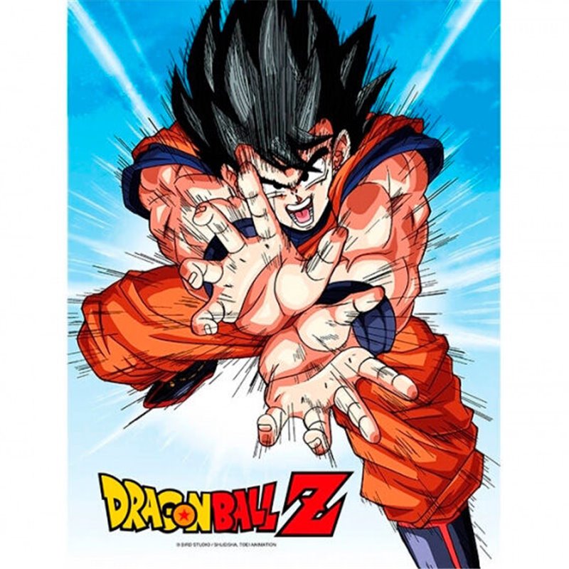 Poster cristal Goku Kame Dragon Ball Z