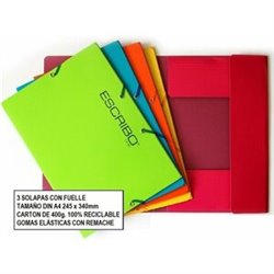 CARPETA GOMAS CARTON COLORES