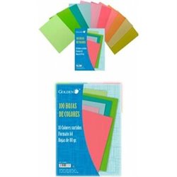 FOLIOS DIN A-4 COLORES 100UD