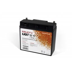 Salicru UBT 12/17 - Batería AGM recargable de 17 Ah