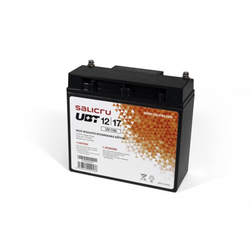 Salicru UBT 12/17 - Batería AGM recargable de 17 Ah