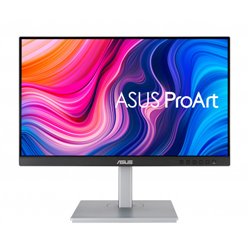 ASUS PA247CV 60,5 cm (23.8") 1920 x 1080 Pixeles Full HD LED Negro, Plata