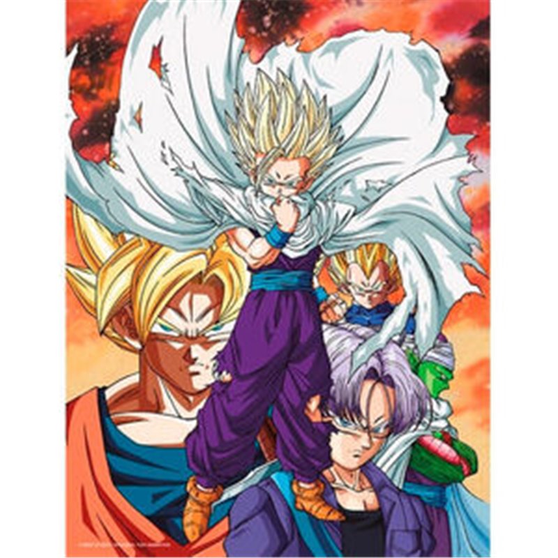 POSTER CRISTAL HEROES VS CELL DRAGON BALL Z