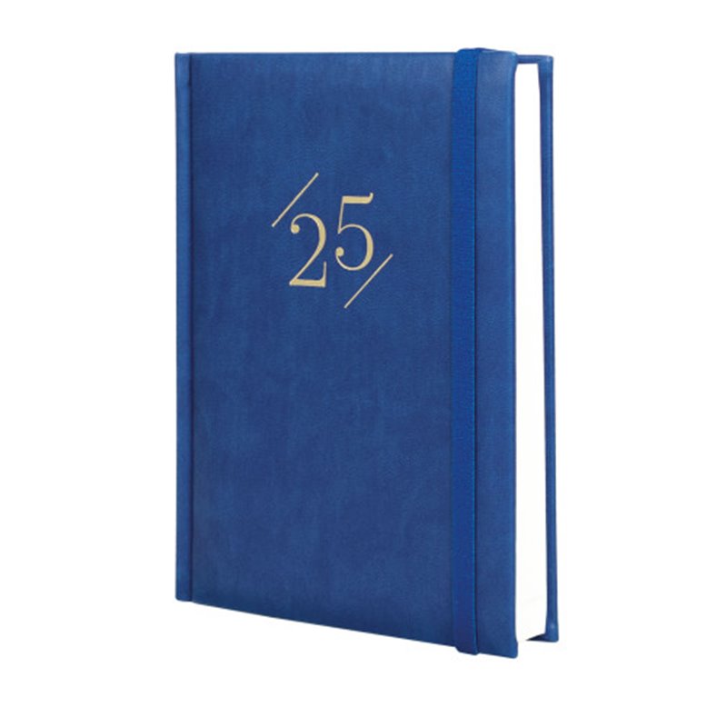 AGENDA 2025 DYNAMIC LONDON Y10 140X204MM DIA PAGINA AZUL FINOCAM 625320125