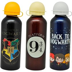 Cantimplora aluminio Harry Potter 500ml surtido