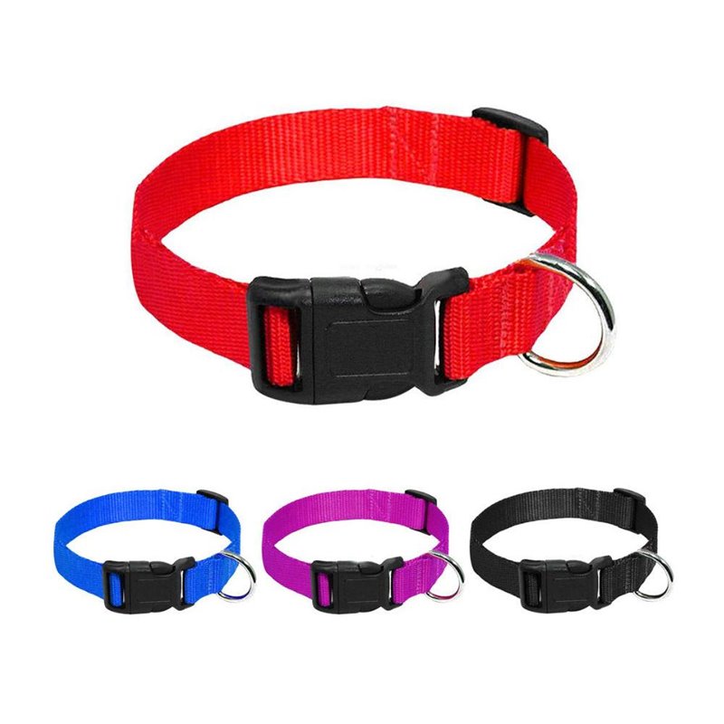 COLLAR MASCOTA NYLON AJUSTABLE