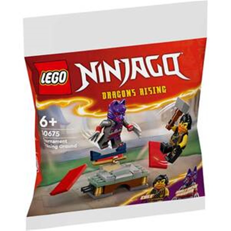 CAMPO ENTRENAMIENTO TORNEO NINJAGO