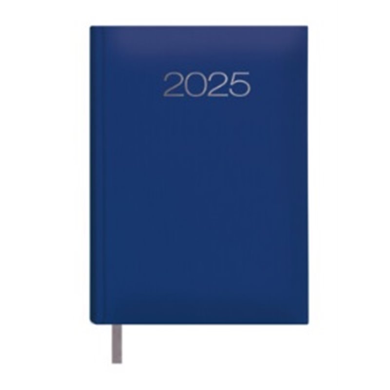 AGENDA 2025 COLORES SURTIDOS