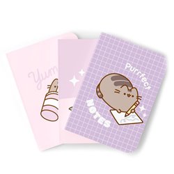 Set 3 cuadernos A5 Moments Pusheen