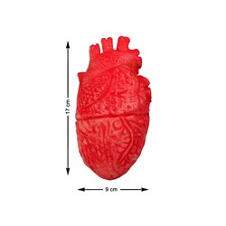 CORAZON 17X9CM DESPOJOS HUMANOS