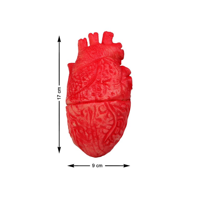 CORAZON 17X9CM DESPOJOS HUMANOS