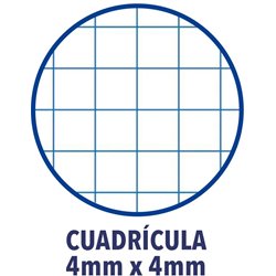 RECAMBIO 4A PARA CARPETA CUADRICULA 4X4 120H