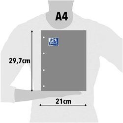 RECAMBIO 4A PARA CARPETA CUADRICULA 4X4 120H