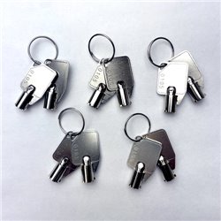 QNAP KEY-01-10PCS accesorio de bastidor Llave de cierre