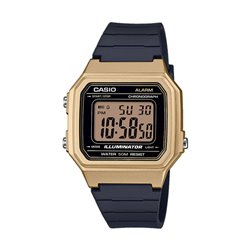 RELOJ CASIO W-217HM-9AVEF