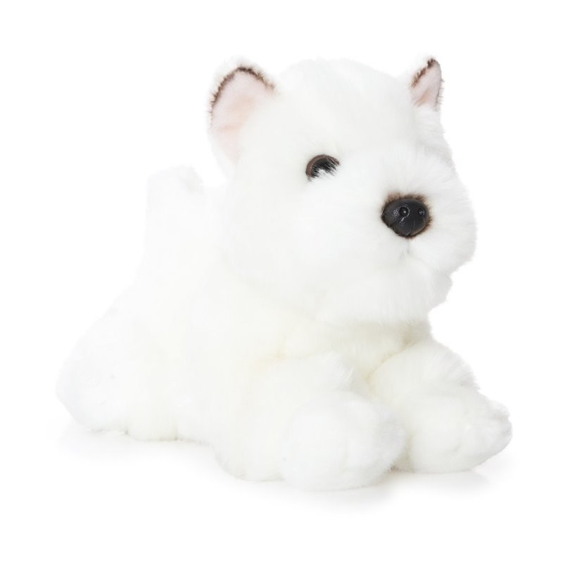 Perro Westie blanco