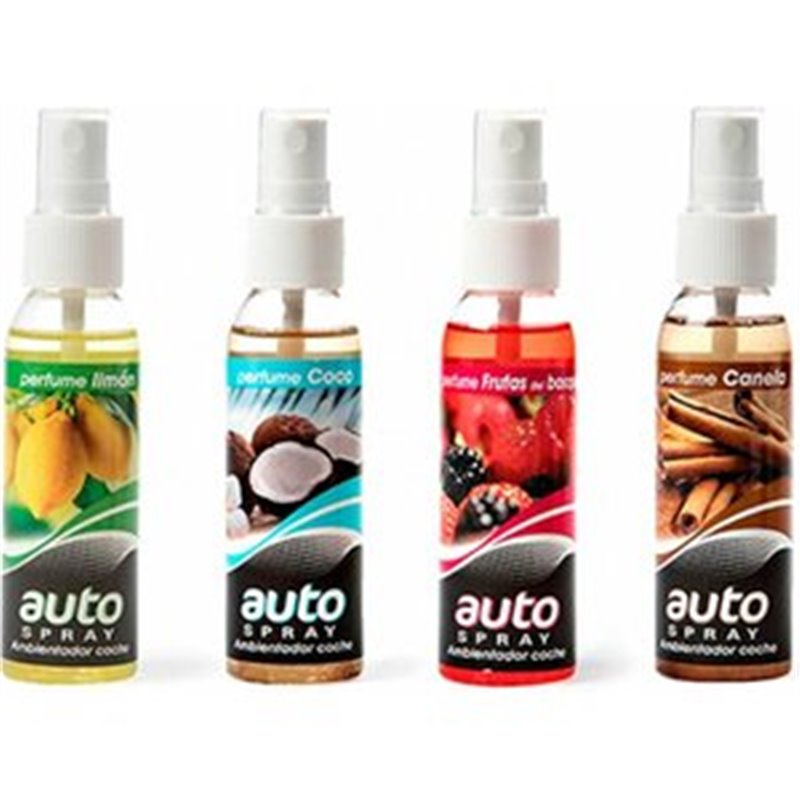 AUTO SPRAY ESPECIAL COCHE 120 ML