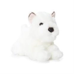 PERRO WESTIE BLANCO