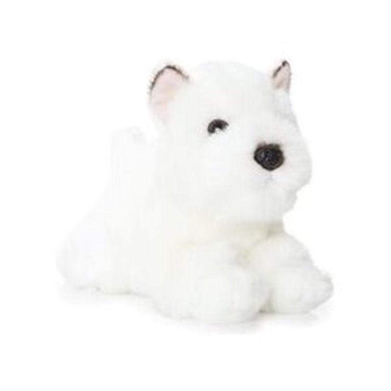 PERRO WESTIE BLANCO